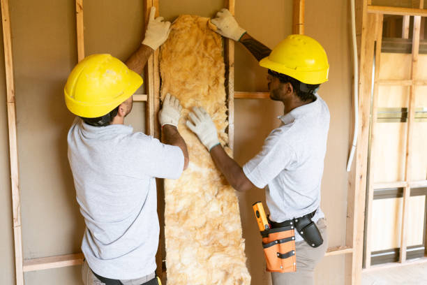 Best Spray Foam Insulation  in Santaquin, UT